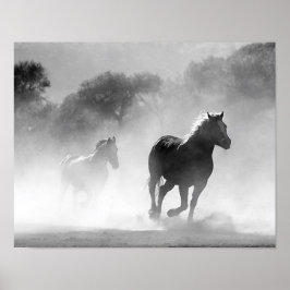 Pferde, die im Nebel Schwarz und Weiß laufen Poster