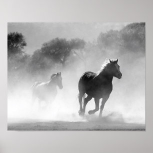 Pferde, die in den Nebel Schwarzweiss laufen Poster