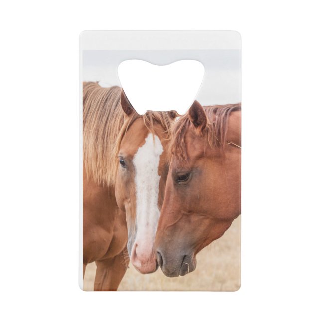 Pferde, die in einer Weide nass werden Geldbeutel Flaschenöffner (Vorderseite)