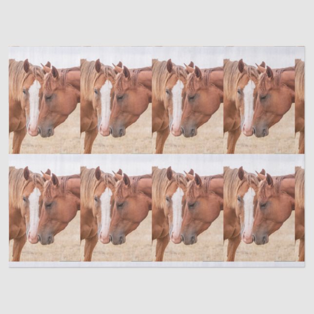 Pferde, die in einer Weide nass werden Seidenpapier (Vorderseite)