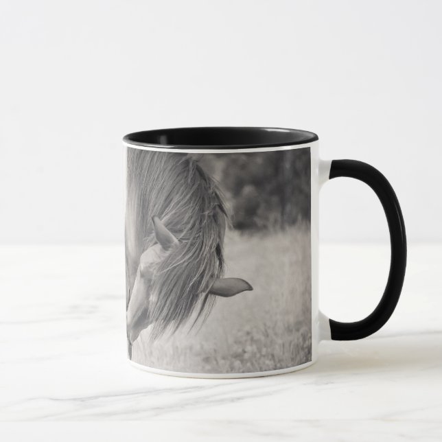 Pferde, die Tasse küssen (Rechts)
