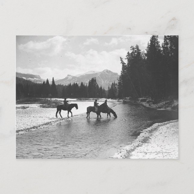 Pferde, die von einem Fluss trinken und einen Flus Postkarte (Vorderseite)