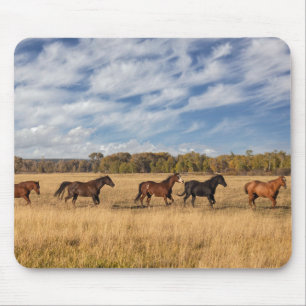 Pferde direkt vor dem Grand Teton Nationalpark Mousepad