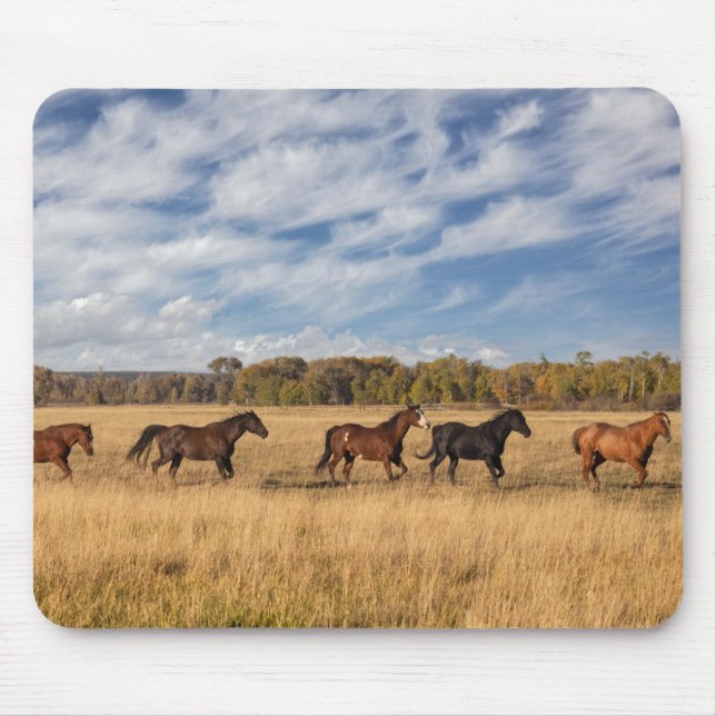Pferde direkt vor dem Grand Teton Nationalpark Mousepad (Vorne)
