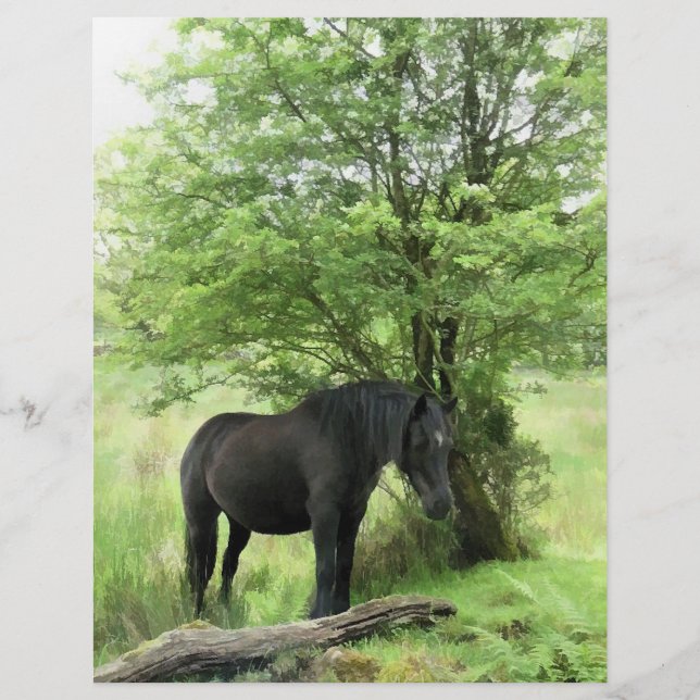 PFERDE FLYER (Vorne)