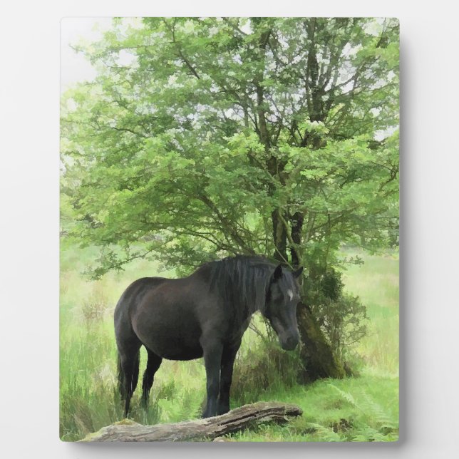PFERDE FOTOPLATTE (Vorderseite)