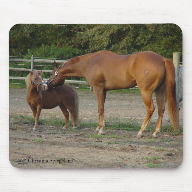 Pferde Freunde kisses Mousepad (Vorne)