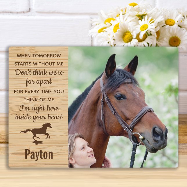 Pferde-Gedenkstätte Fotoplatte (Von Creator hochgeladen)