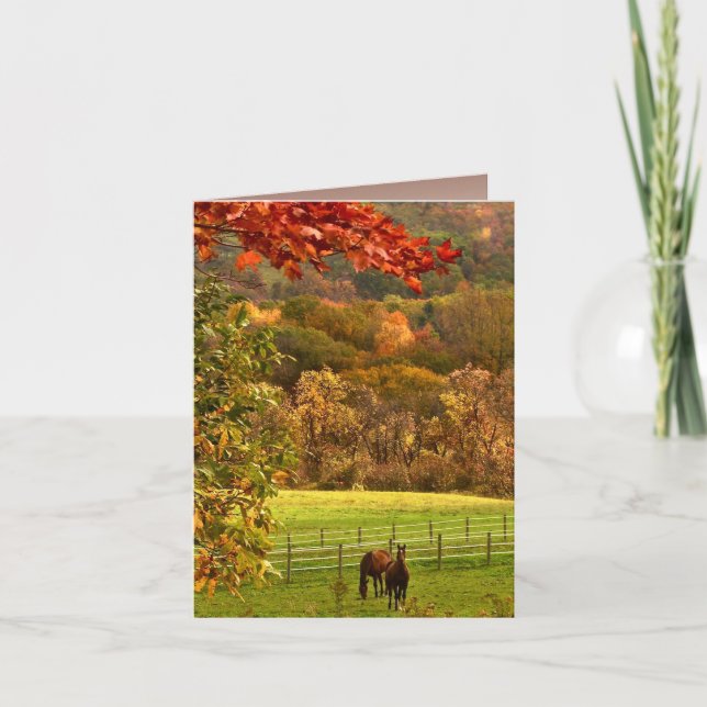 Pferde im Herbst Danke (Vorderseite)