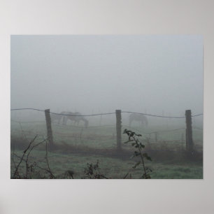 Pferde im Morgen-Nebel Poster