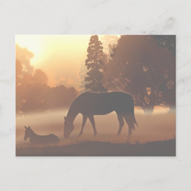 Pferde im Nebel des Morgens2 Postkarte (Vorderseite)