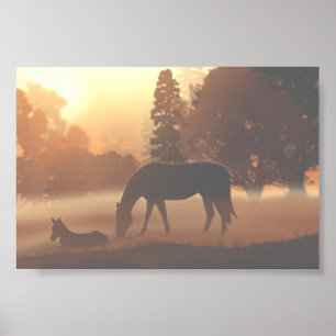 Pferde im Nebel des Morgens Poster