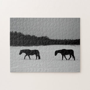 Pferde im Schnee 11x14 252pc jpcna