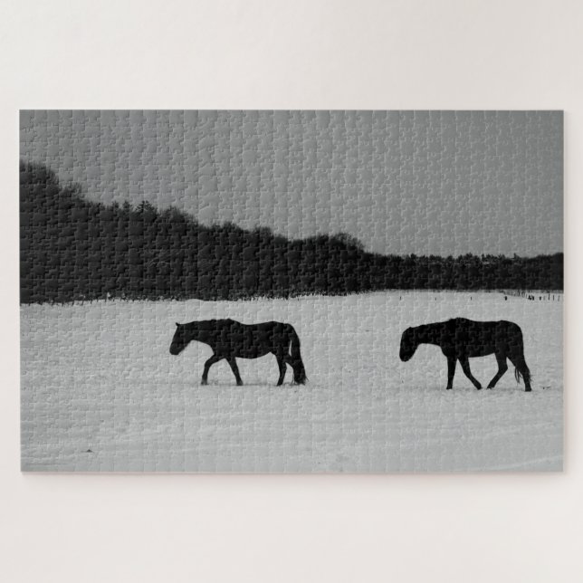 Pferde im Schnee 20x30 1014pc jpcna (Horizontal)