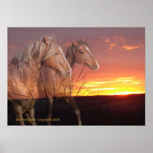 Pferde im Sonnenaufgang-Plakat Poster