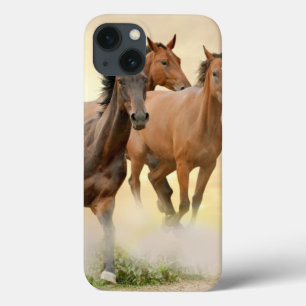 Pferde im Sonnenuntergang Case-Mate iPhone Hülle