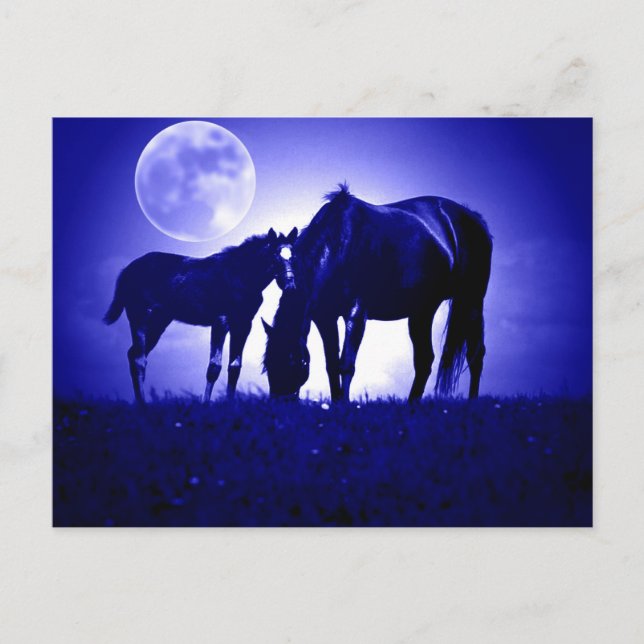Pferde in blauer Nacht Postkarte (Vorderseite)