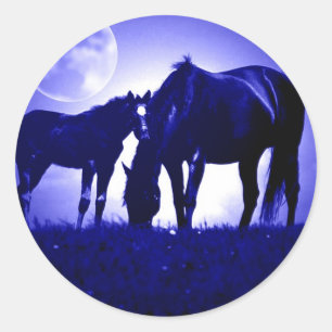Pferde in der blauen Nacht Runder Aufkleber