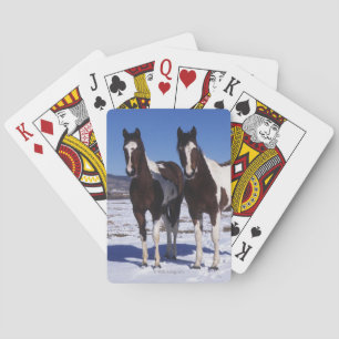 Pferde in der Schnee stehen malend Spielkarten