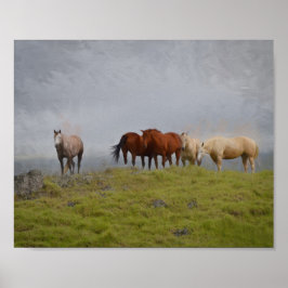 Pferde in der Weide Poster
