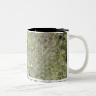 Pferde in der Weide Zweifarbige Tasse
