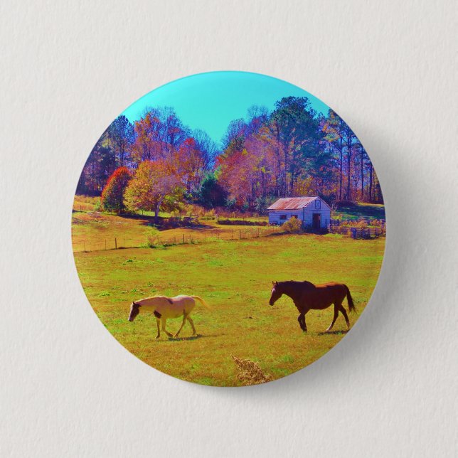 Pferde in einem roten Rainbow-Feld Button (Vorderseite)