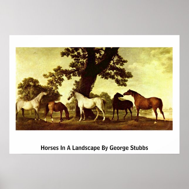 Pferde in einer Landschaft von George Stubbs Poster (Vorne)