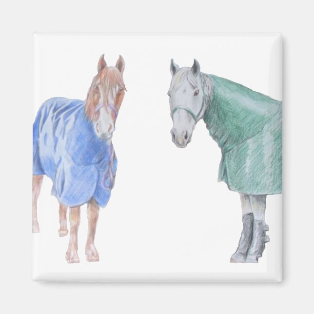 Pferde in Rugs Magnet (Vorne)