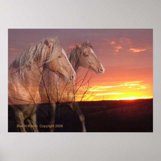 Pferde in Sunrise Poster (Vorne)