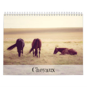 Pferde Kalender