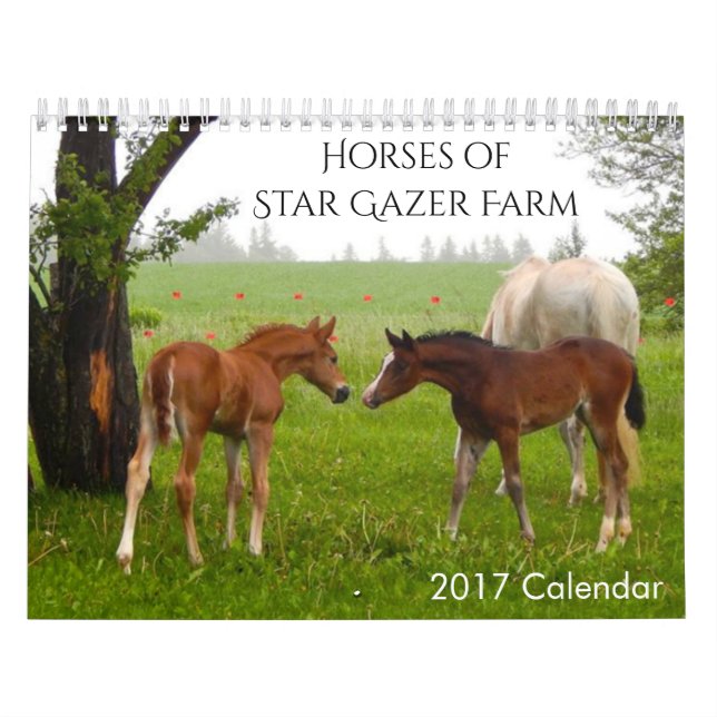 Pferde - Kalender 2017 (Titelbild)