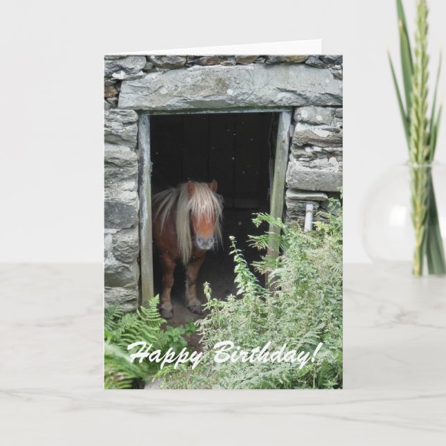 PFERDE KARTE (Vorderseite)