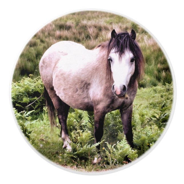 PFERDE KERAMIKKNAUF (Vorderseite)