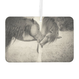 Pferde Kissing Air Freshener Autolufterfrischer