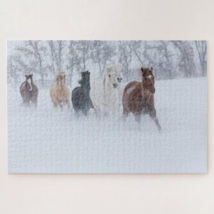 Pferde laufen durch den Schnee
