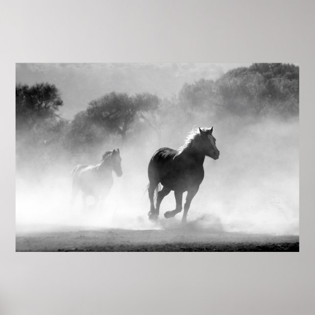 Pferde laufen schwarz-weiß schöne Landschaft Poster (Vorne)