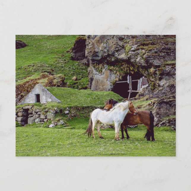 Pferde Liebe Grüne Landschaft Bahnübergang Postkarte (Vorderseite)
