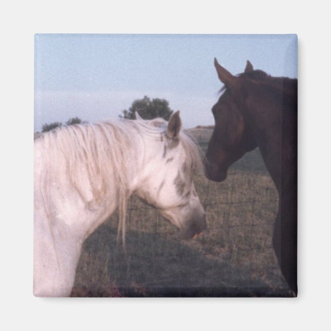 Pferde Magnet (Vorne)