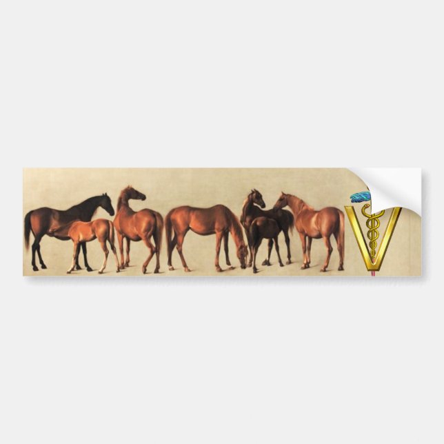 PFERDE/MARS UND FOALS CADUCEUS VETERINÄRSYMBOL AUTOAUFKLEBER (Vorne)