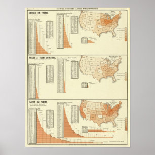 Pferde, Maultiere, Esel, Schafe Poster