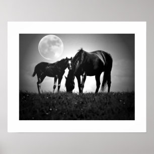 Pferde & Mond Pop Art Quadratischer Poster Druck