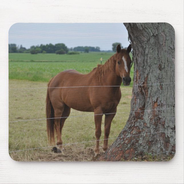 Pferde Mousepad (Vorne)