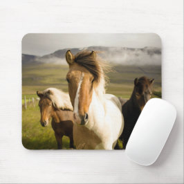 Pferde Mousepad