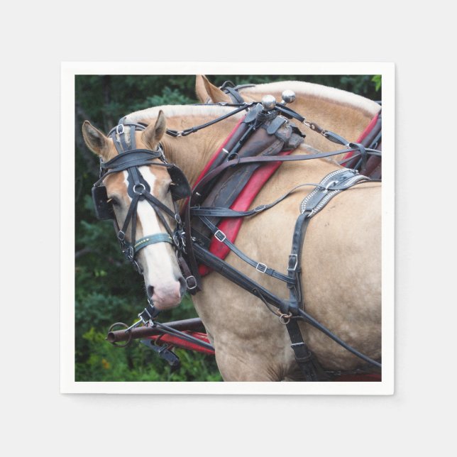 Pferde Palomino Harness Serviette (Vorderseite)