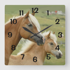 Pferde Palomino Mutter und Foal Portrait Quadratische Wanduhr
