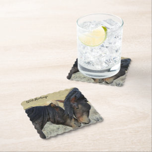 Pferde-Papierset coaster Untersetzer