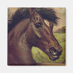 Pferde Ranch Farm Land Haustier Süßes Tier Vintage Magnet