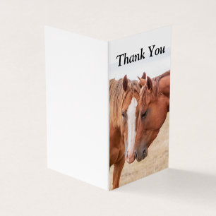 Pferde schmusen auf einer Weide