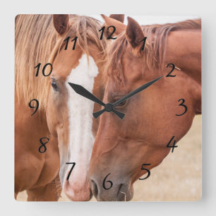Pferde schmusen auf einer Weide Quadratische Wanduhr
