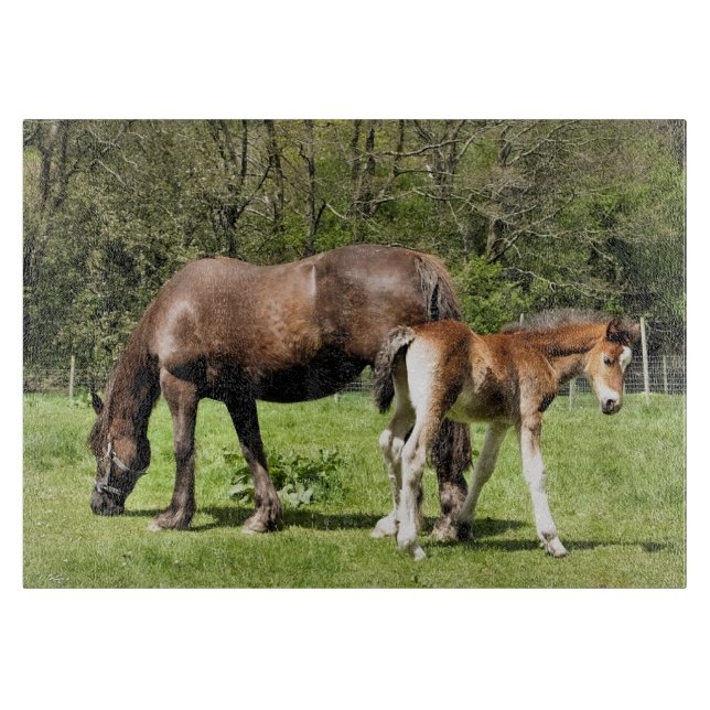 PFERDE SCHNEIDEBRETT (Vorderseite)